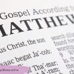 5 Key Facts About Matthew Vollbrecht for 5th Graders